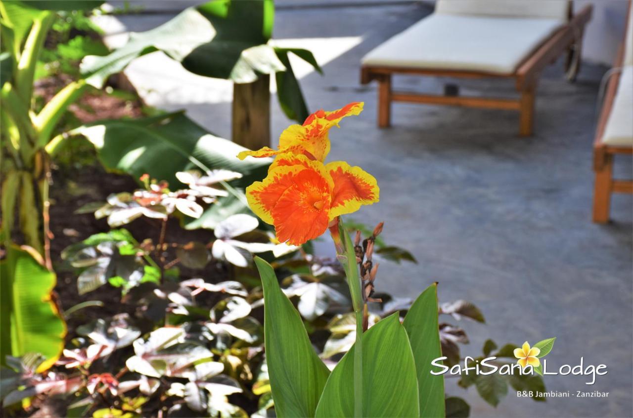 Safisana Lodge 잠비아니 외부 사진